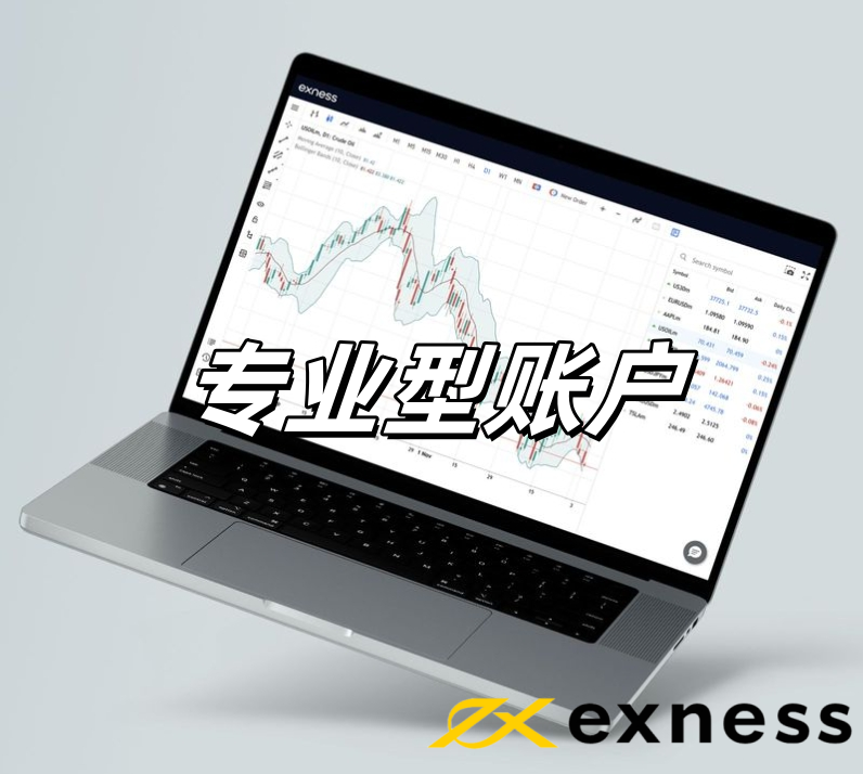 Exness：专业型账户